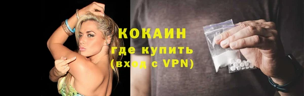 шишки Волоколамск
