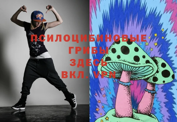 шишки Волоколамск