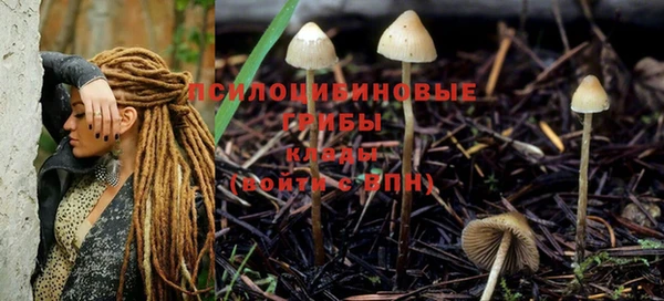 спиды Волосово