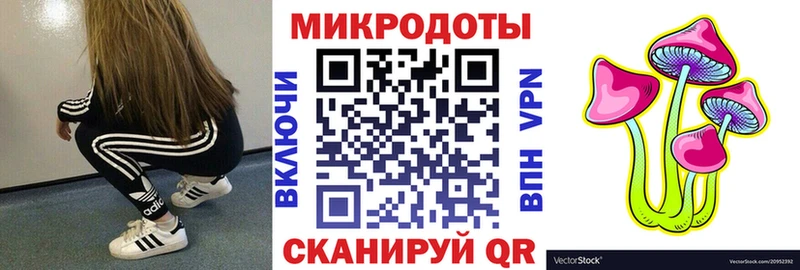 где купить   Ногинск  Псилоцибиновые грибы Psilocybine cubensis 